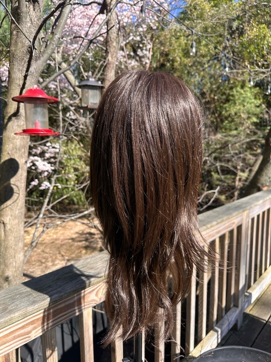 Raquel Welch Mesmerized Hand tied, lace front, mono top wig, Black Coffee - Picture 4 of 10